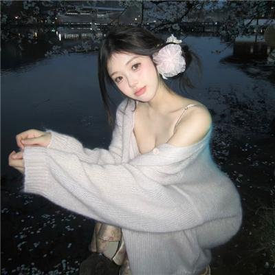 三只小猪